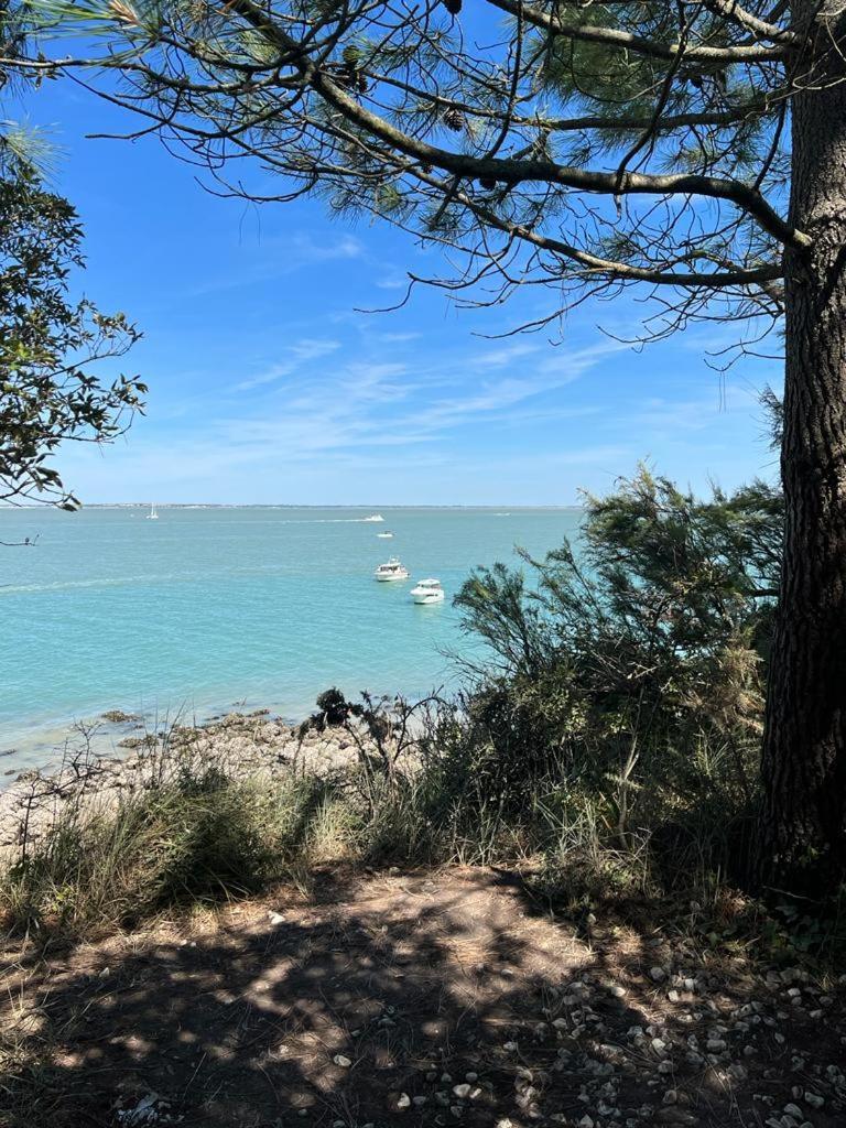 Chre Cathy Et Jean Loup Hotell Le Port-des-Barques Exteriör bild